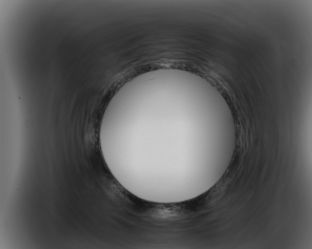 X0000086770569200704130839