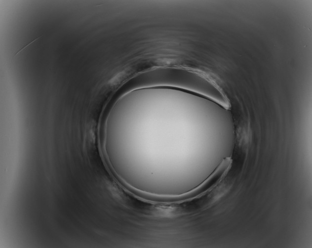 X0000086770570200704130839