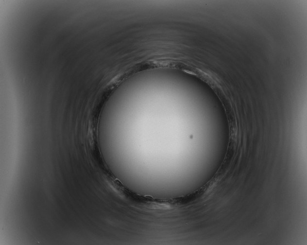 X0000086770572200704130839