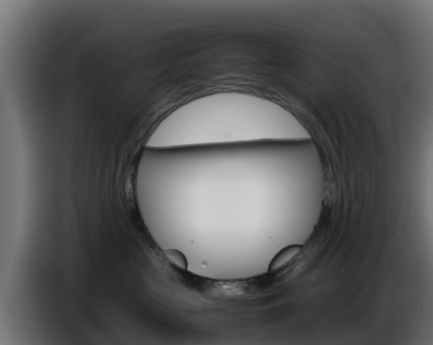 X0000086770573200704130839