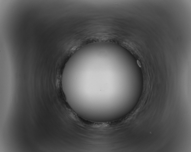 X0000086770576200704130839