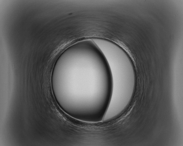 X0000086770577200704130838