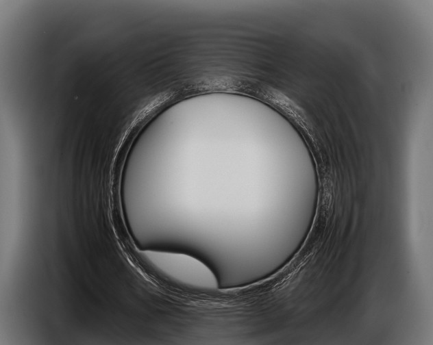 X0000086770578200704130838