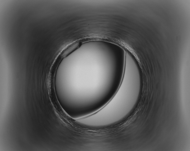 X0000086770580200704130838