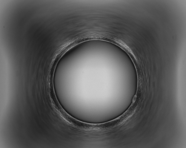 X0000086770581200704130838