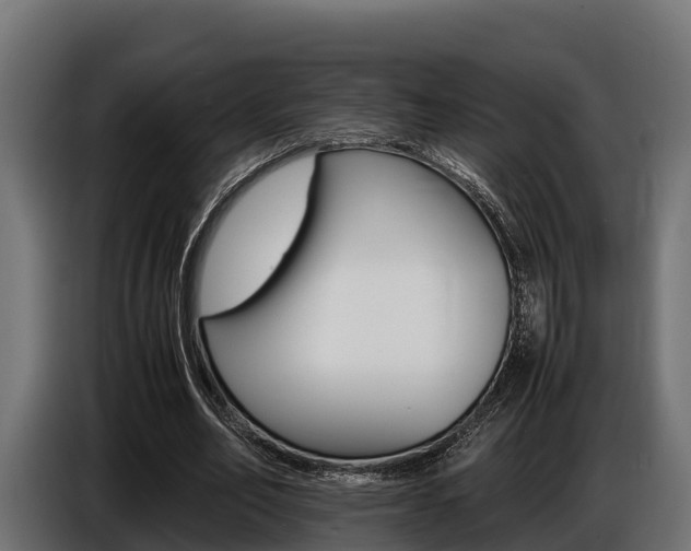 X0000086770582200704130838