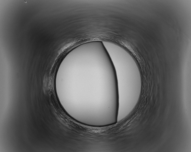 X0000086770583200704130838