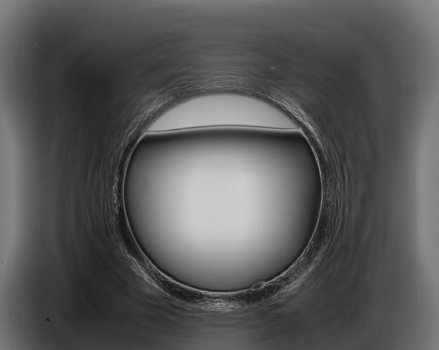 X0000086770585200704130838