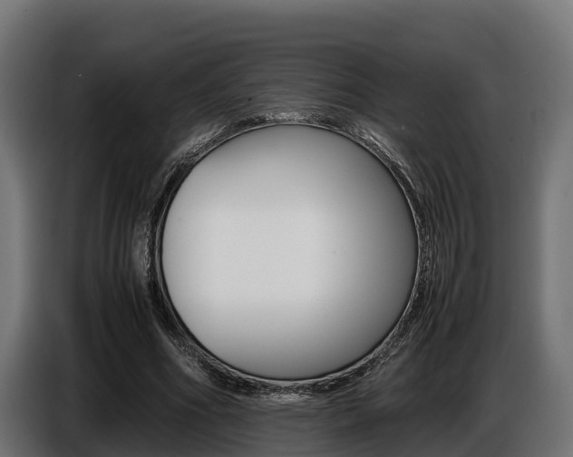 X0000086770586200704130838