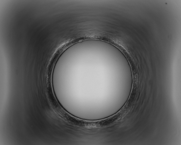 X0000086770587200704130838