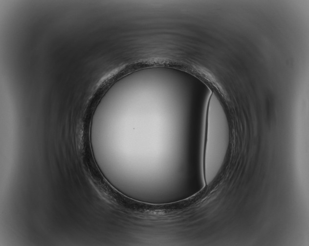 X0000086770588200704130838