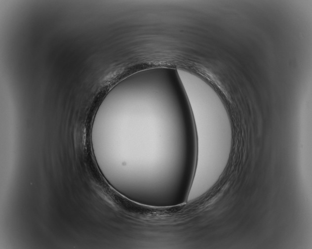 X0000086770589200704130838