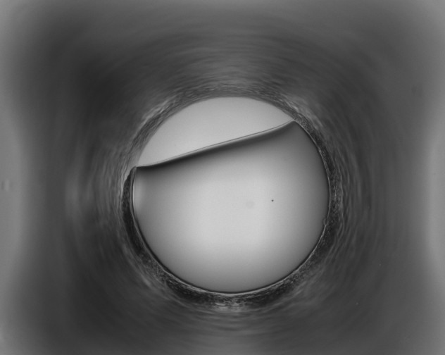 X0000086770591200704130838