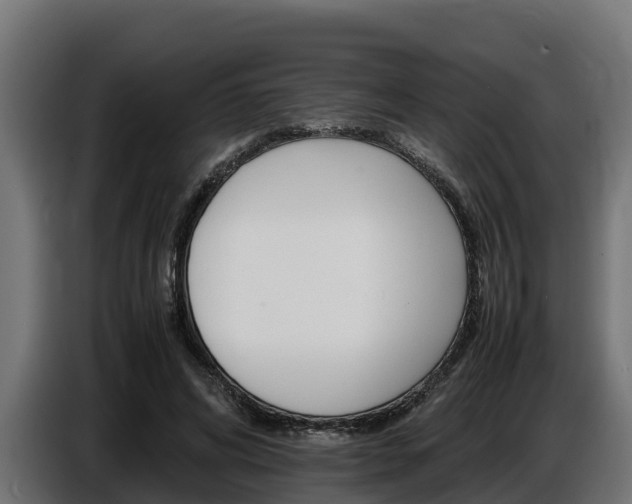 X0000086770592200704130838