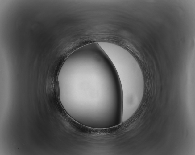 X0000086770593200704130838