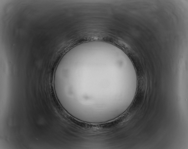 X0000086770594200704130838