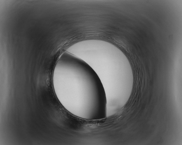 X0000086770595200704130838