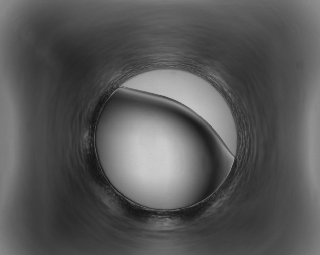 X0000086770597200704130838
