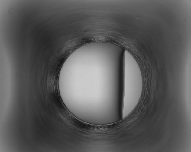 X0000086770599200704130838