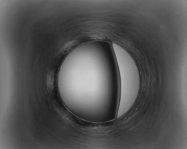 X0000086770600200704130838