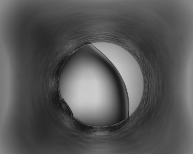 X0000086770601200704130838
