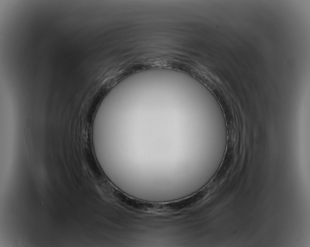 X0000086770603200704130838