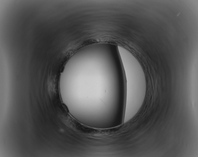 X0000086770604200704130838