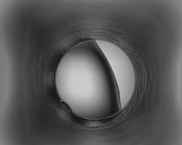X0000086770605200704130838