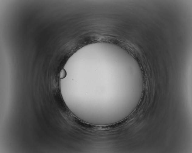 X0000086770607200704130838