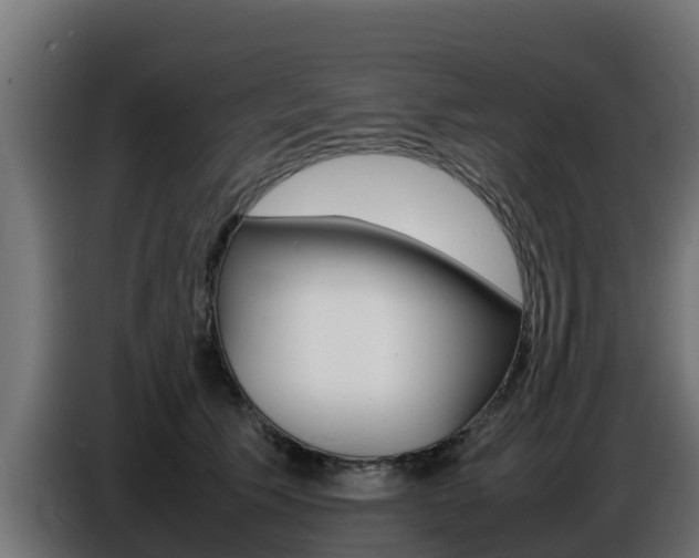X0000086770609200704130838