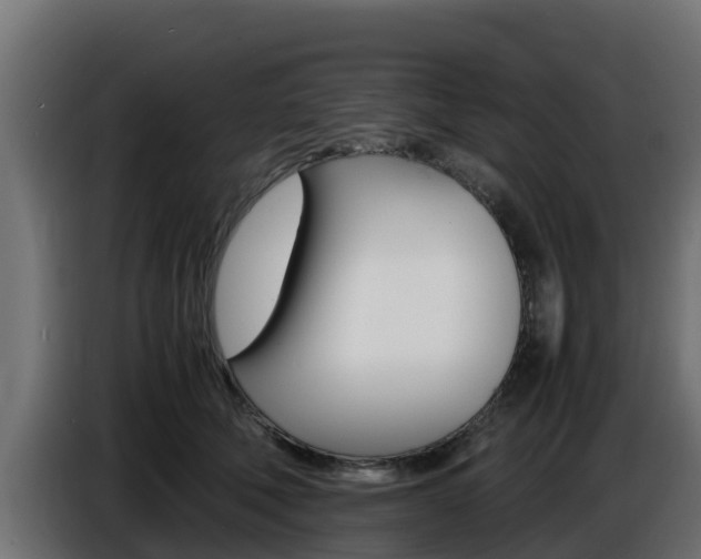 X0000086770610200704130838