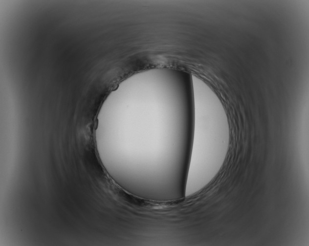 X0000086770611200704130838