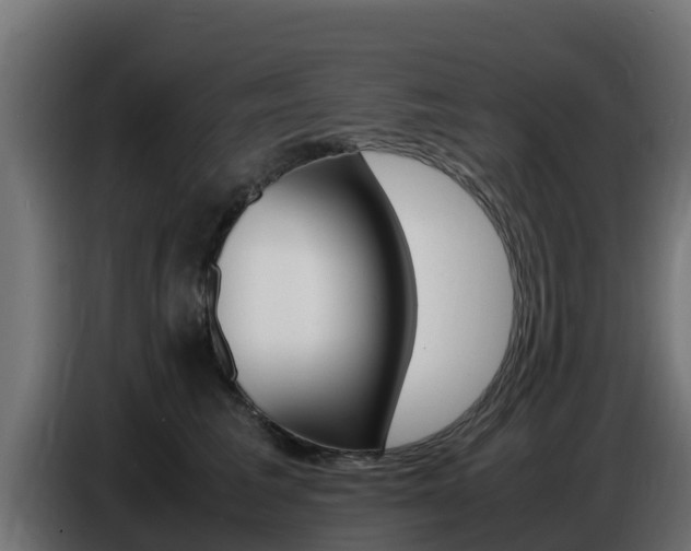 X0000086770613200704130838