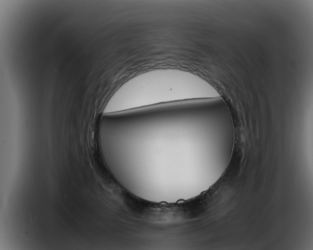 X0000086770615200704130838