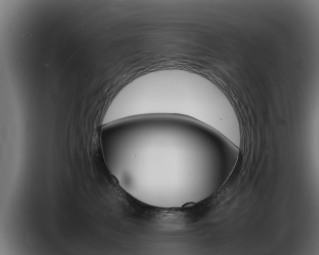 X0000086770617200704130838