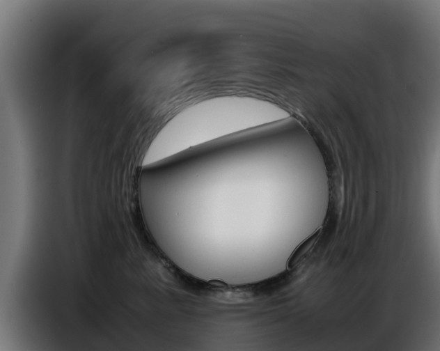 X0000086770619200704130838