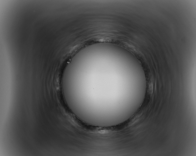 X0000086770620200704130837