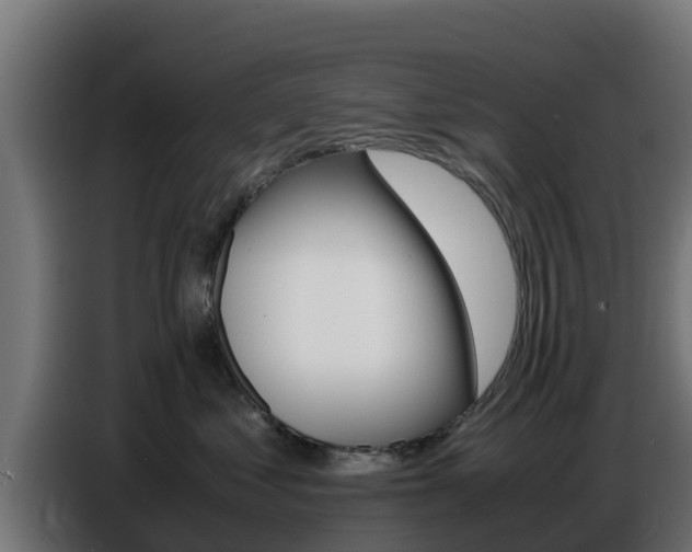 X0000086770621200704130837