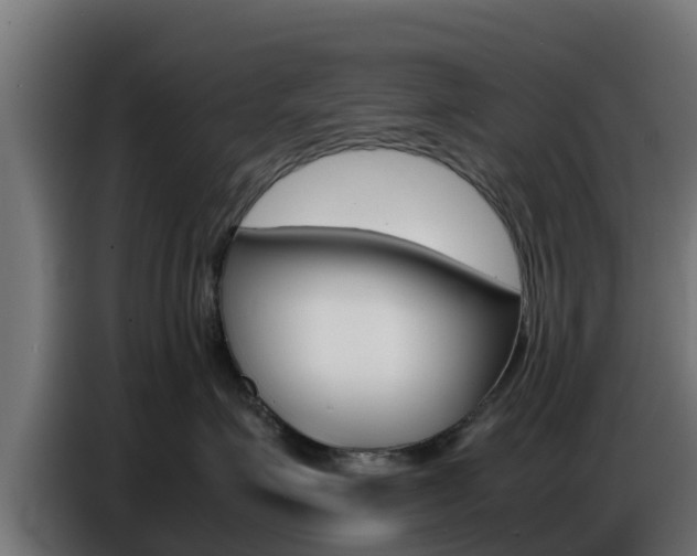 X0000086770623200704130837