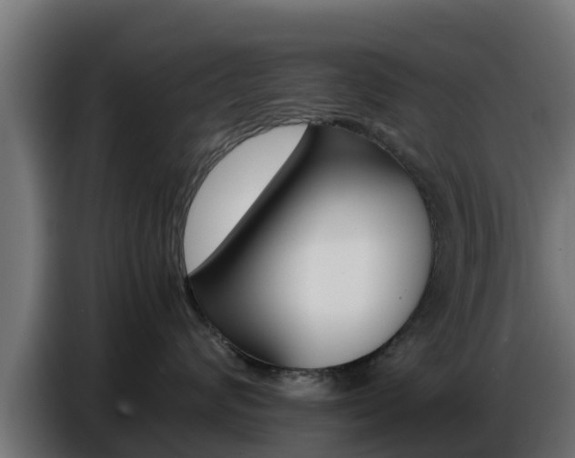 X0000086770624200704130837