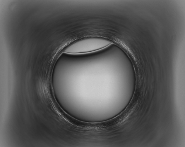 X0000086770625200704130837
