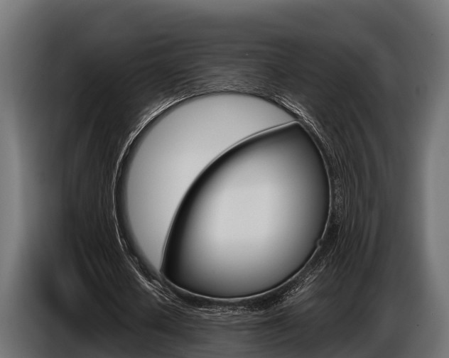 X0000086770626200704130837