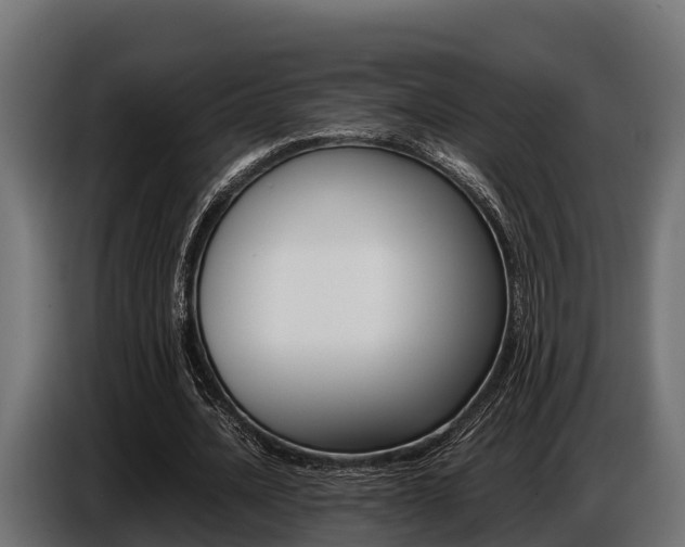 X0000086770628200704130837