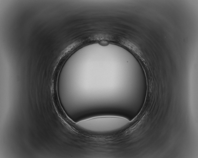 X0000086770629200704130837