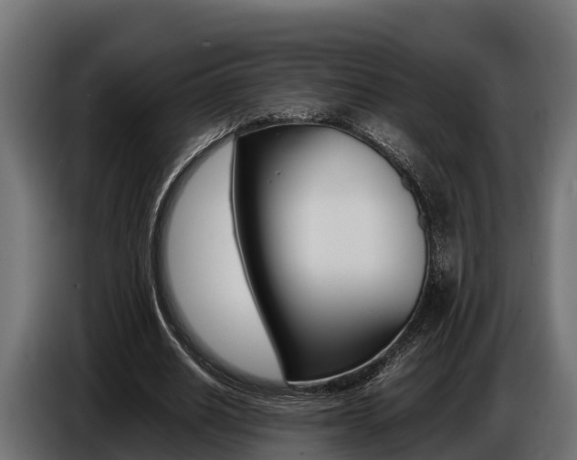 X0000086770630200704130837