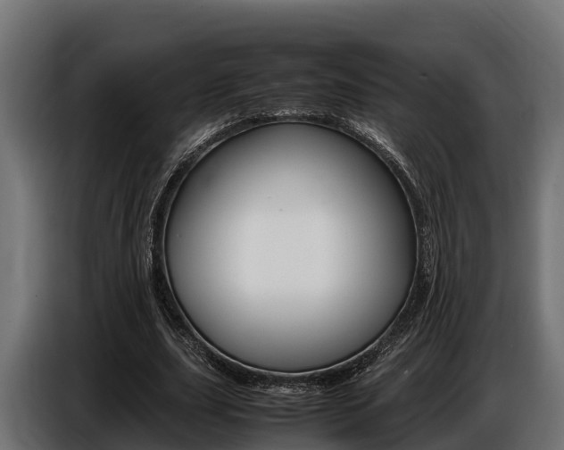 X0000086770631200704130837