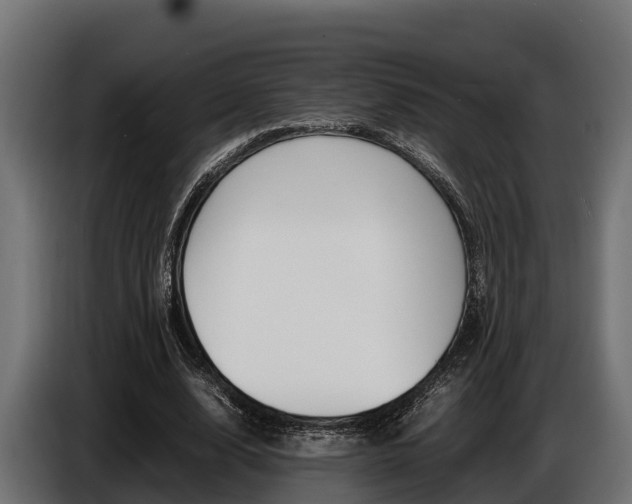 X0000086770632200704130837