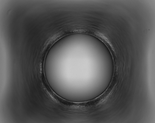 X0000086770633200704130837