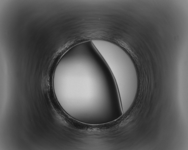 X0000086770634200704130837