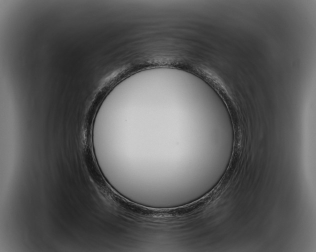 X0000086770636200704130837
